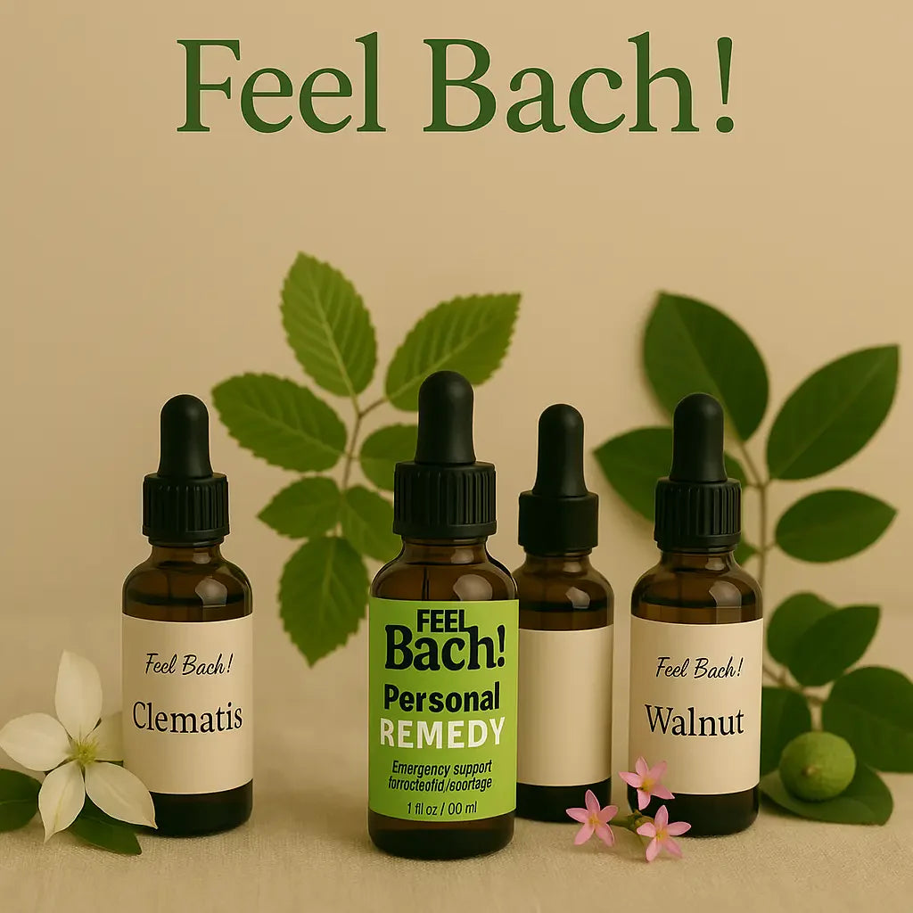 Still life of Bach flower remedy glass dropper bottles with clematis, hornbeam, centaury, and walnut botanicals