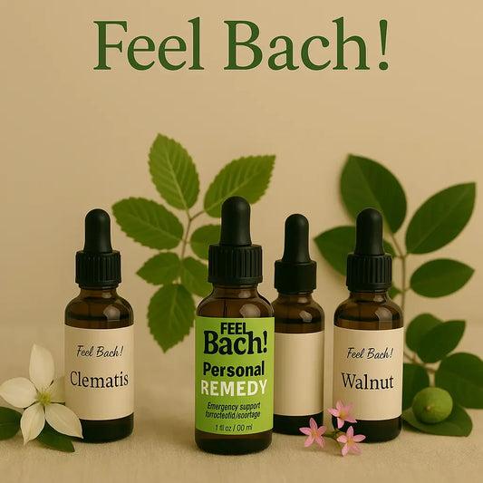 Still life of Bach flower remedy glass dropper bottles with clematis, hornbeam, centaury, and walnut botanicals