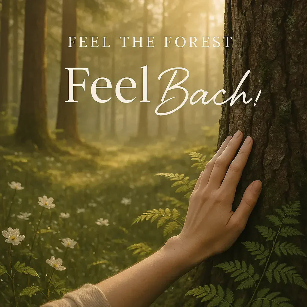 Early morning forest with golden sunlight, hand on tree bark, moss, wildflowers, and fern leaves