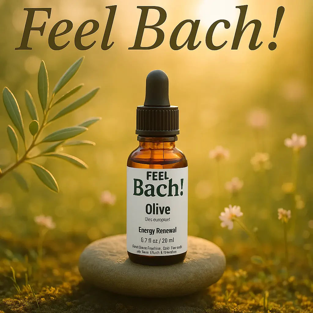 Feel Bach dropper bottle on stone among dewy olive branches, wildflowers, and moss at sunrise