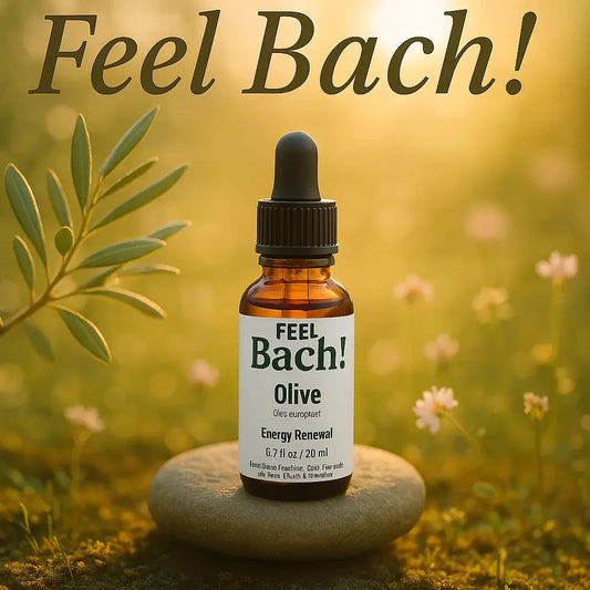 Feel Bach dropper bottle on stone among dewy olive branches, wildflowers, and moss at sunrise
