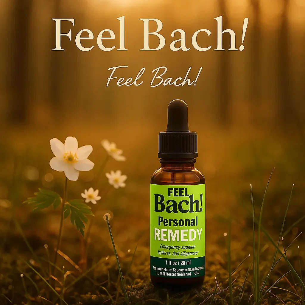 Serene woodland at golden hour with Bach flower remedy bottle among wildflowers and dew grass