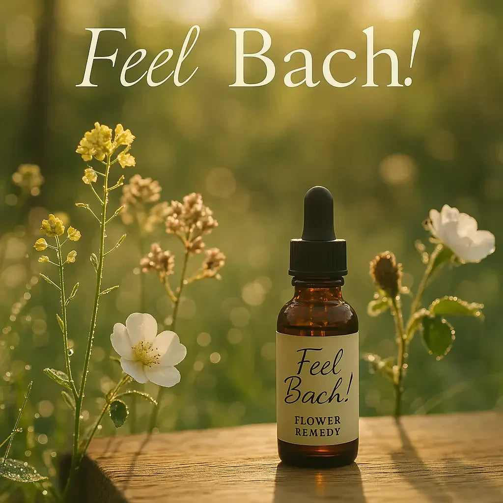 Dewy wildflowers and Feel Bach! remedy bottle in golden woodland morning, soft light and earthy tones