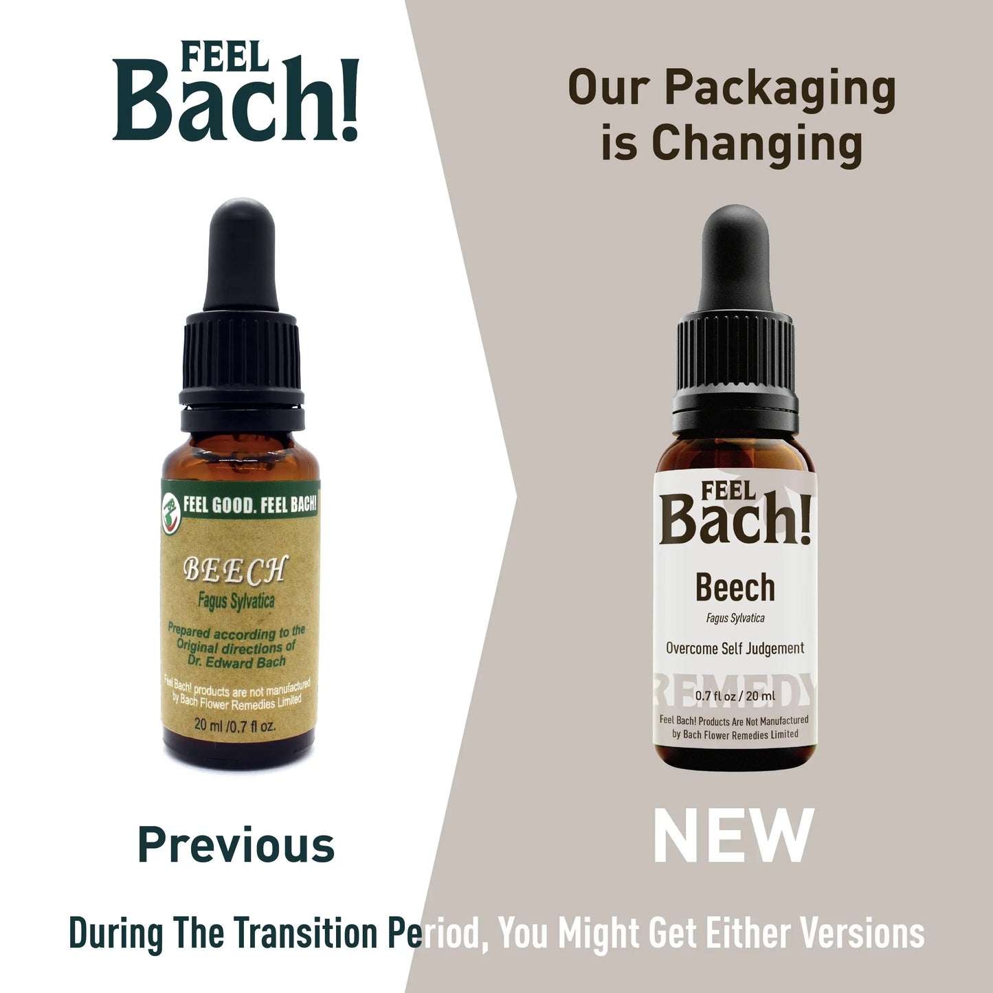 Beech Flower Essence