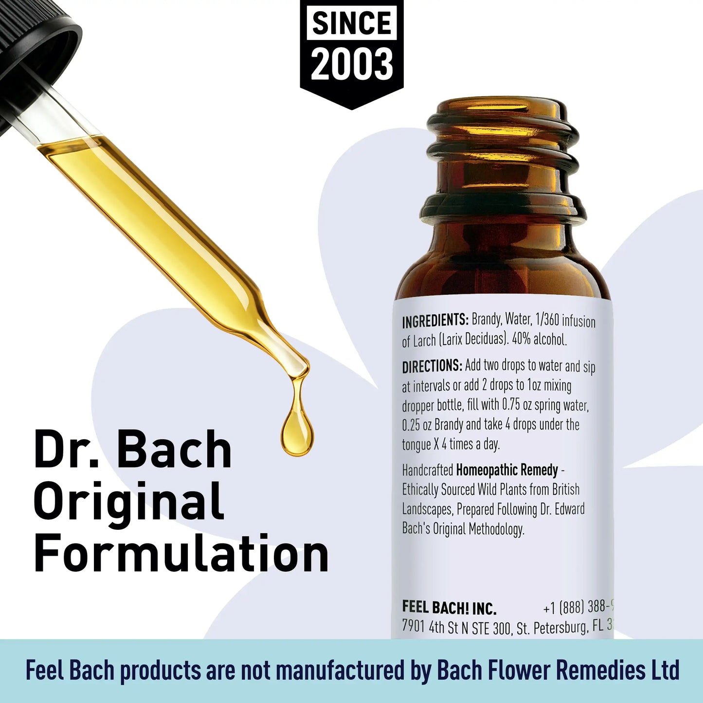 Larch Flower Essence