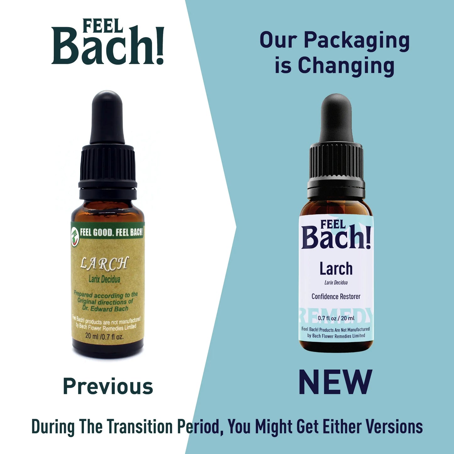 Larch Flower Essence