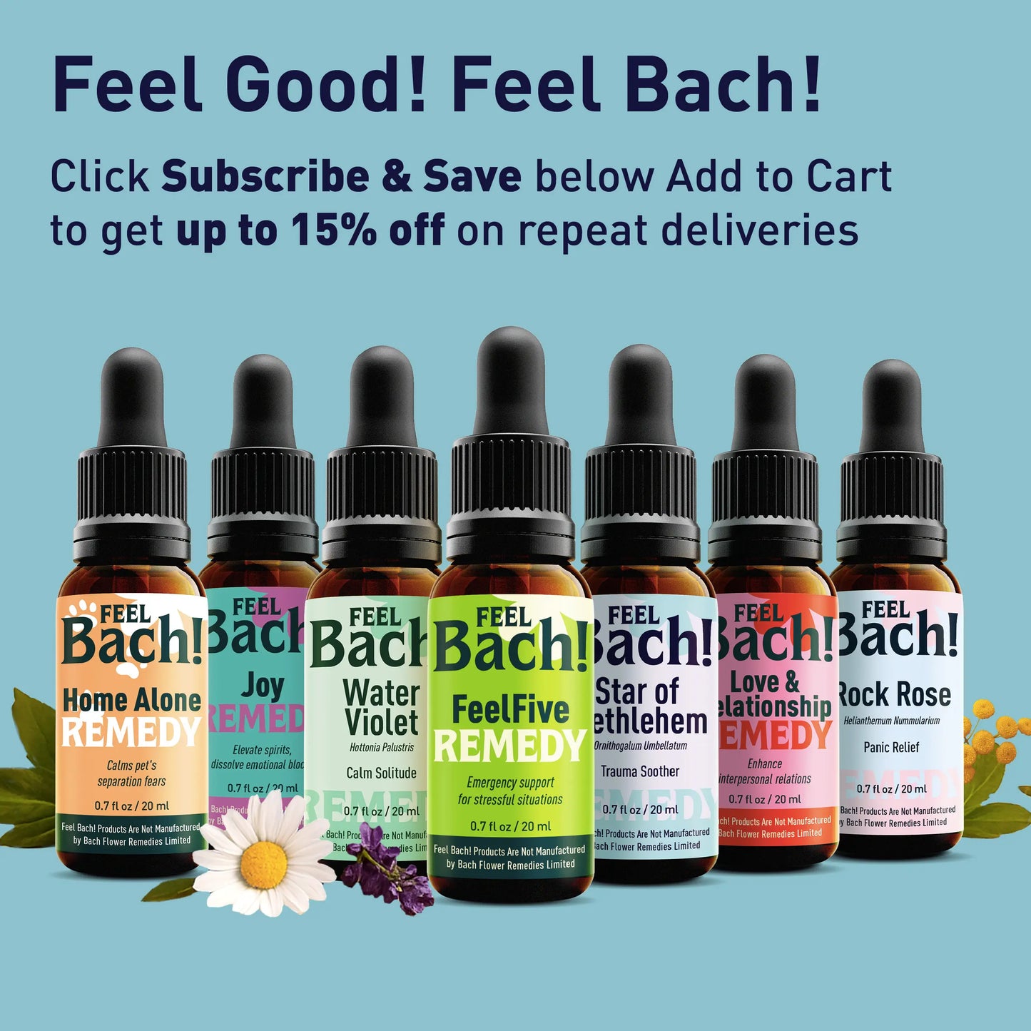 Larch Flower Essence