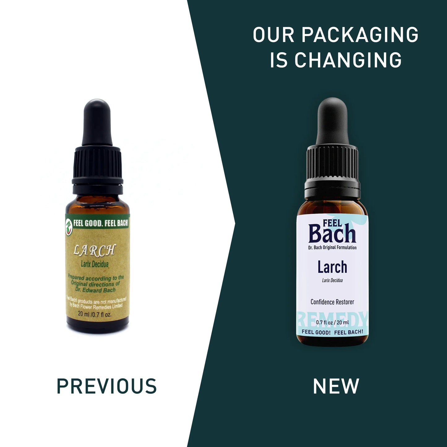 Larch Flower Essence