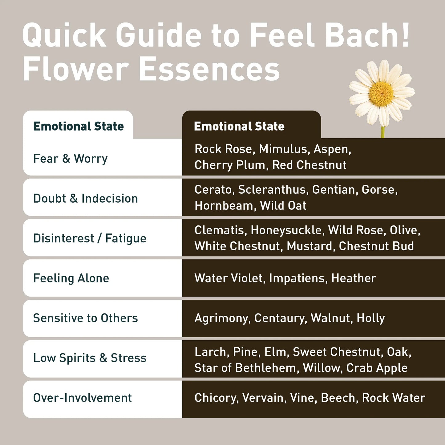 Vervain Flower Essence