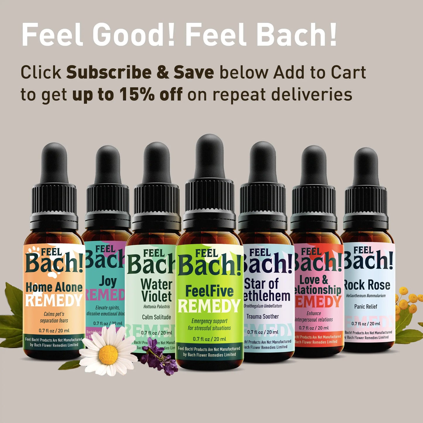 Vervain Flower Essence
