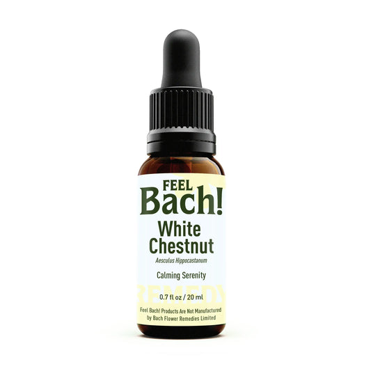 White Chestnut Flower Essence