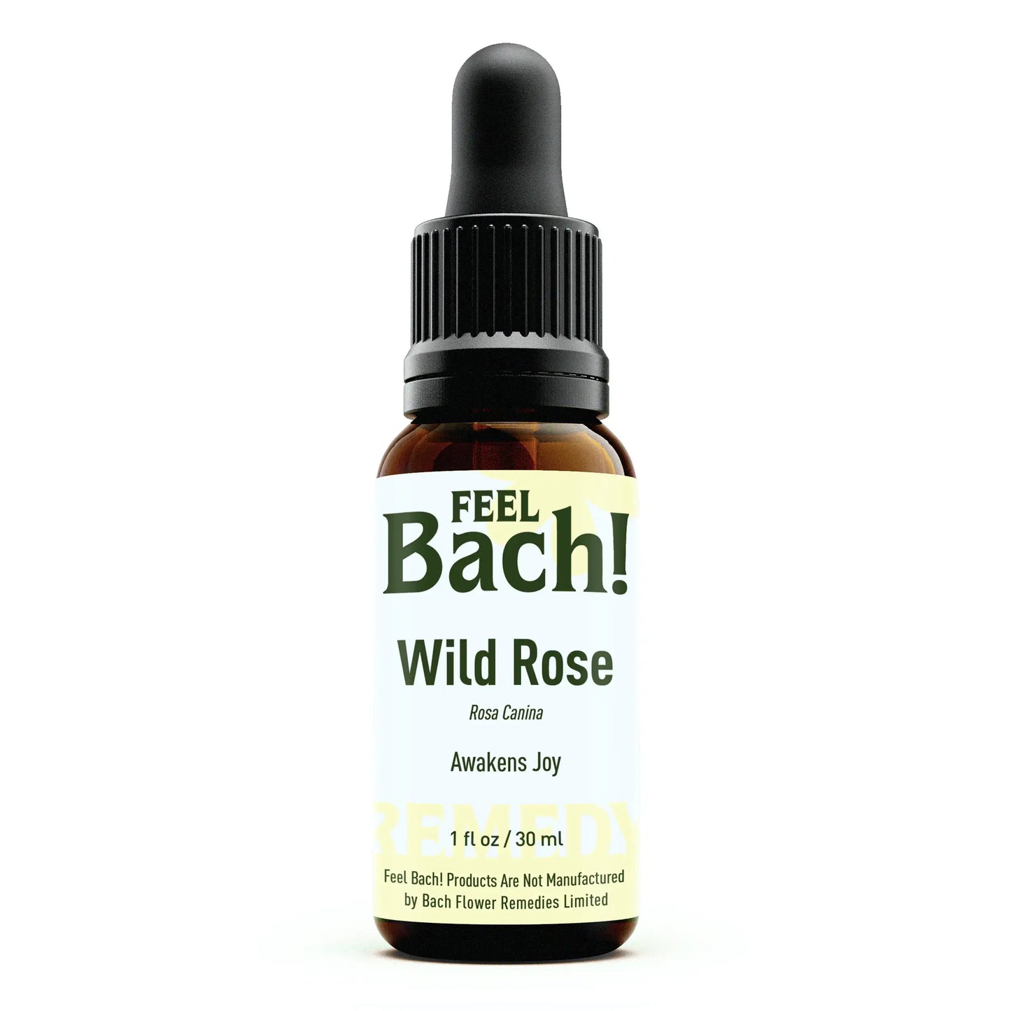 Wild Rose Flower Essence