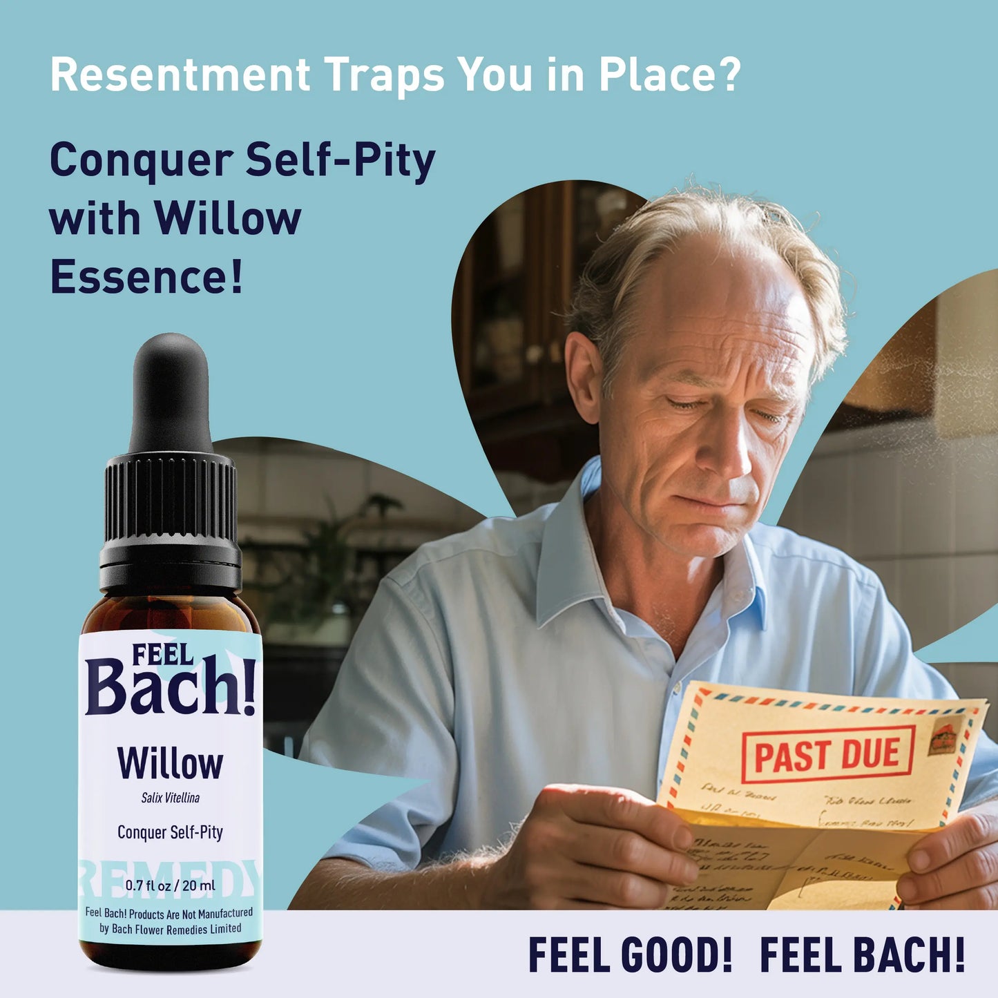 Willow Flower Essence