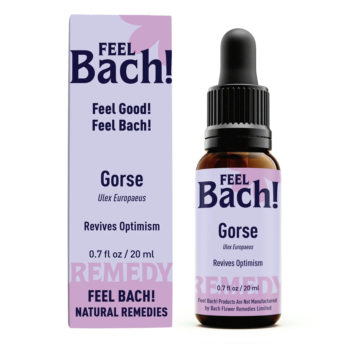 Gorse Flower Essence