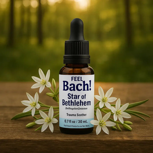 Star of Bethlehem Bach flower remedy bottle on rustic table in sunlit woodland glade with fresh flowers