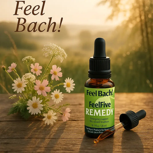 Serene morning with Bach flower remedy, dew-kissed wildflowers, and soft countryside background on a wooden table