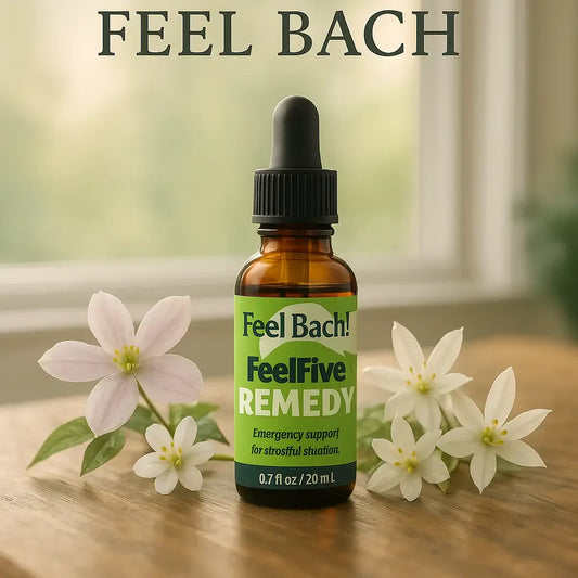 Feel Bach flower essence bottle among clematis, cherry plum, and star of Bethlehem in morning sunlight