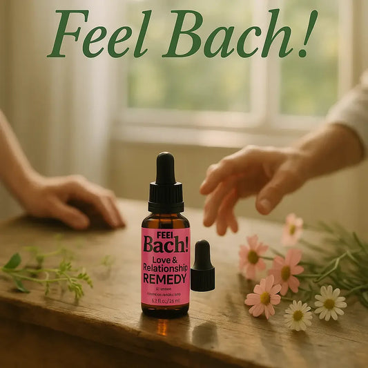 Serene morning scene with Feel Bach flower remedy bottles, wildflowers, and soft sunlight on a wooden table