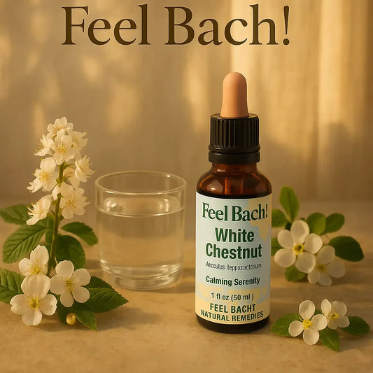 Feel Bach flower remedy bottle with water, chestnut and crab apple flowers at golden hour on stone table