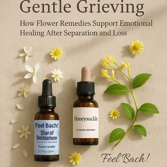 Star of Bethlehem and Honeysuckle bottles with wildflowers on linen for gentle grieving and emotional healing