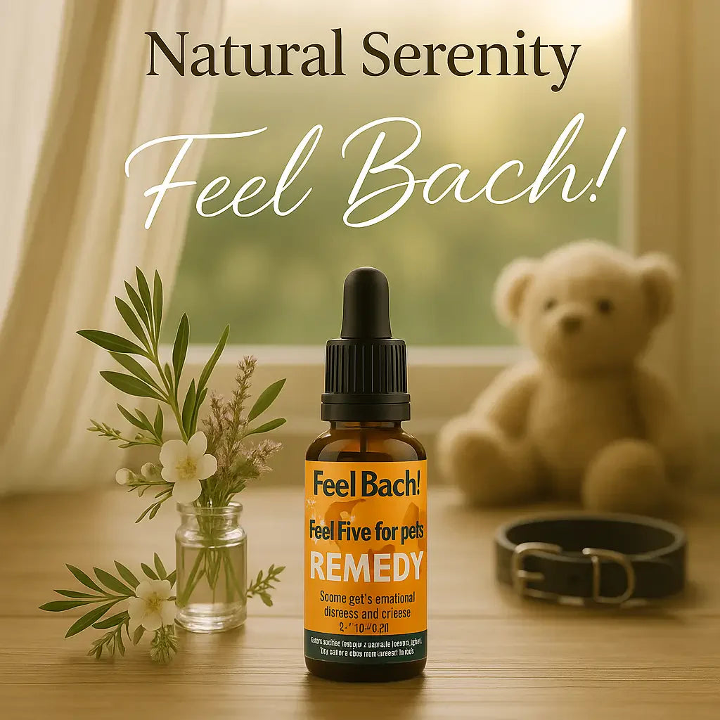 Early morning wooden table with Feel Bach flower remedy, wildflowers, plush toy, dog collar, and soft golden light