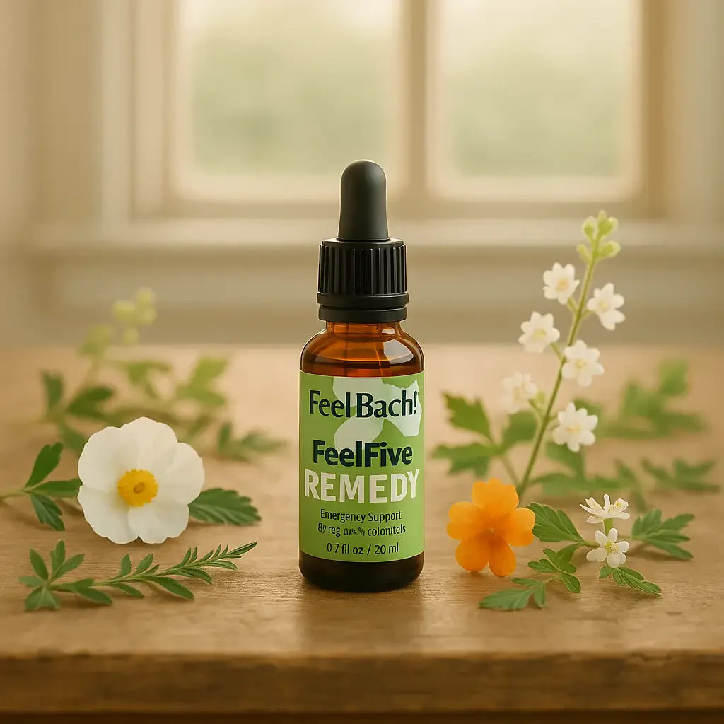 Serene morning light on wood table with green foliage, wildflowers, and Bach flower remedy bottle