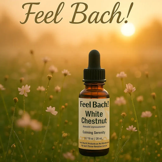 Tranquil sunrise meadow with dewy white and pink wildflowers and Feel Bach glass dropper bottle among blossoms