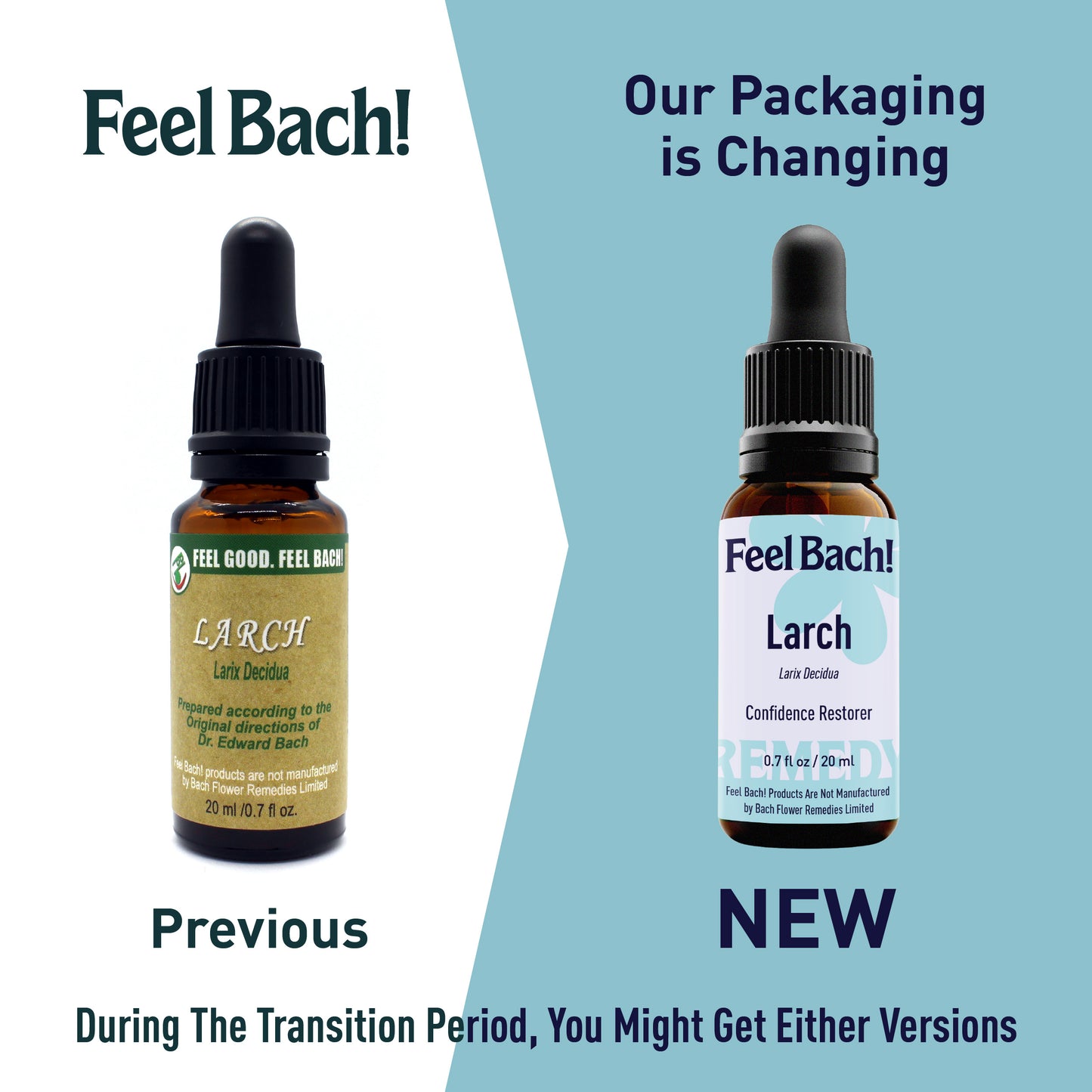 Larch Flower Essence