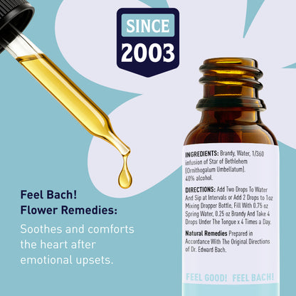 Star Of Bethlehem Flower Essence