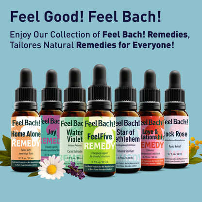 Star Of Bethlehem Flower Essence