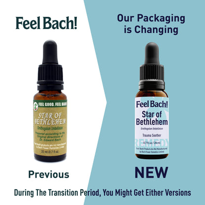 Star Of Bethlehem Flower Essence