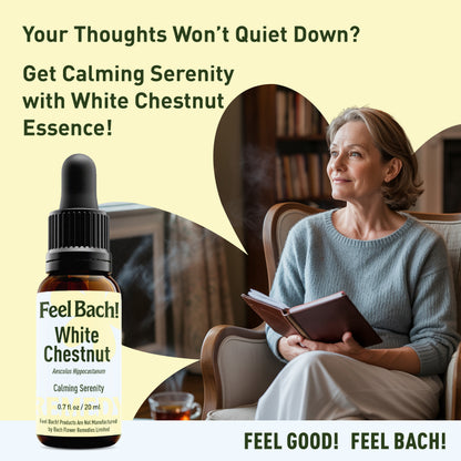 White Chestnut Flower Essence