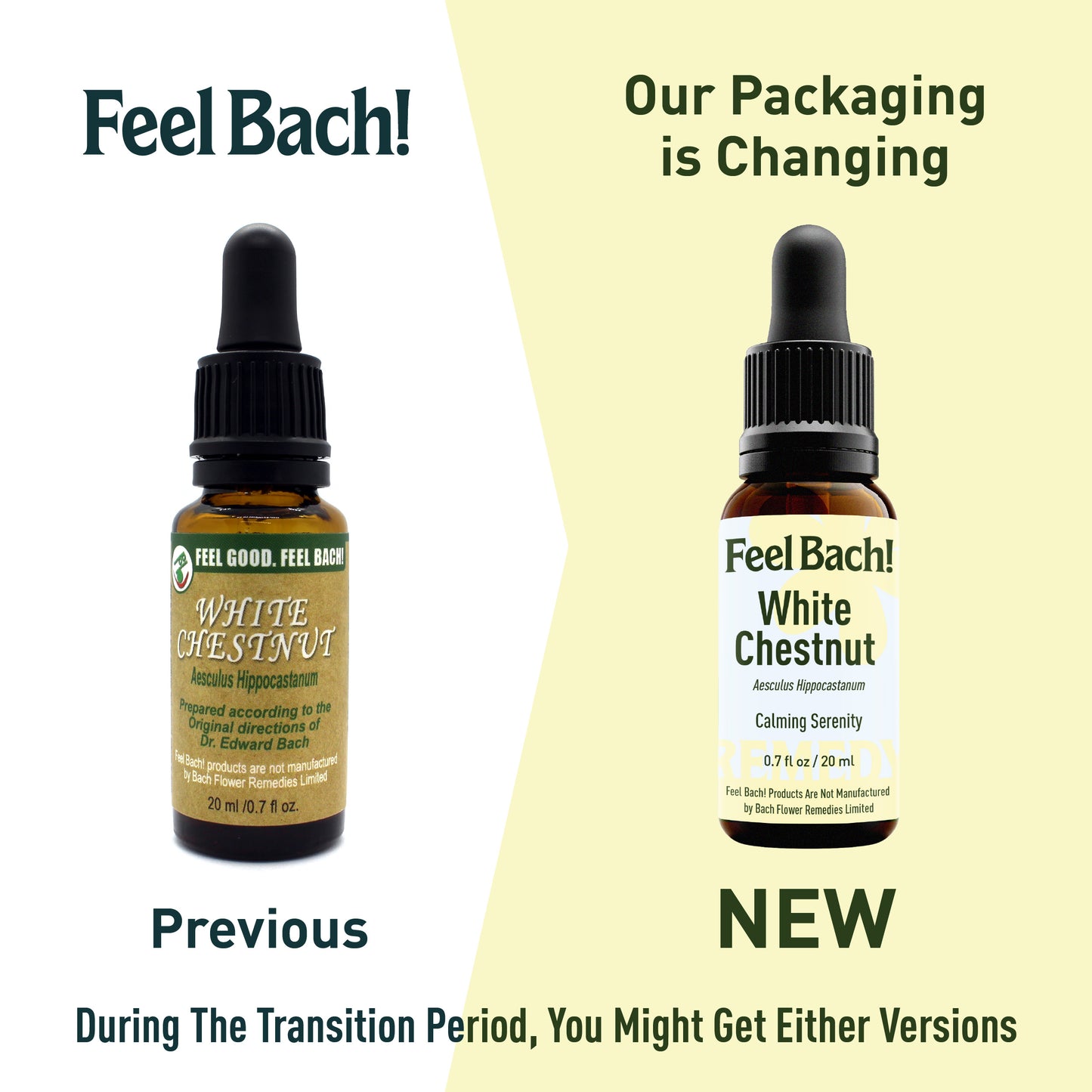 White Chestnut Flower Essence