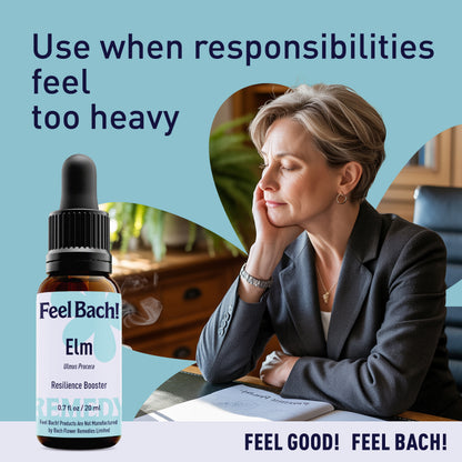 Elm flower essence