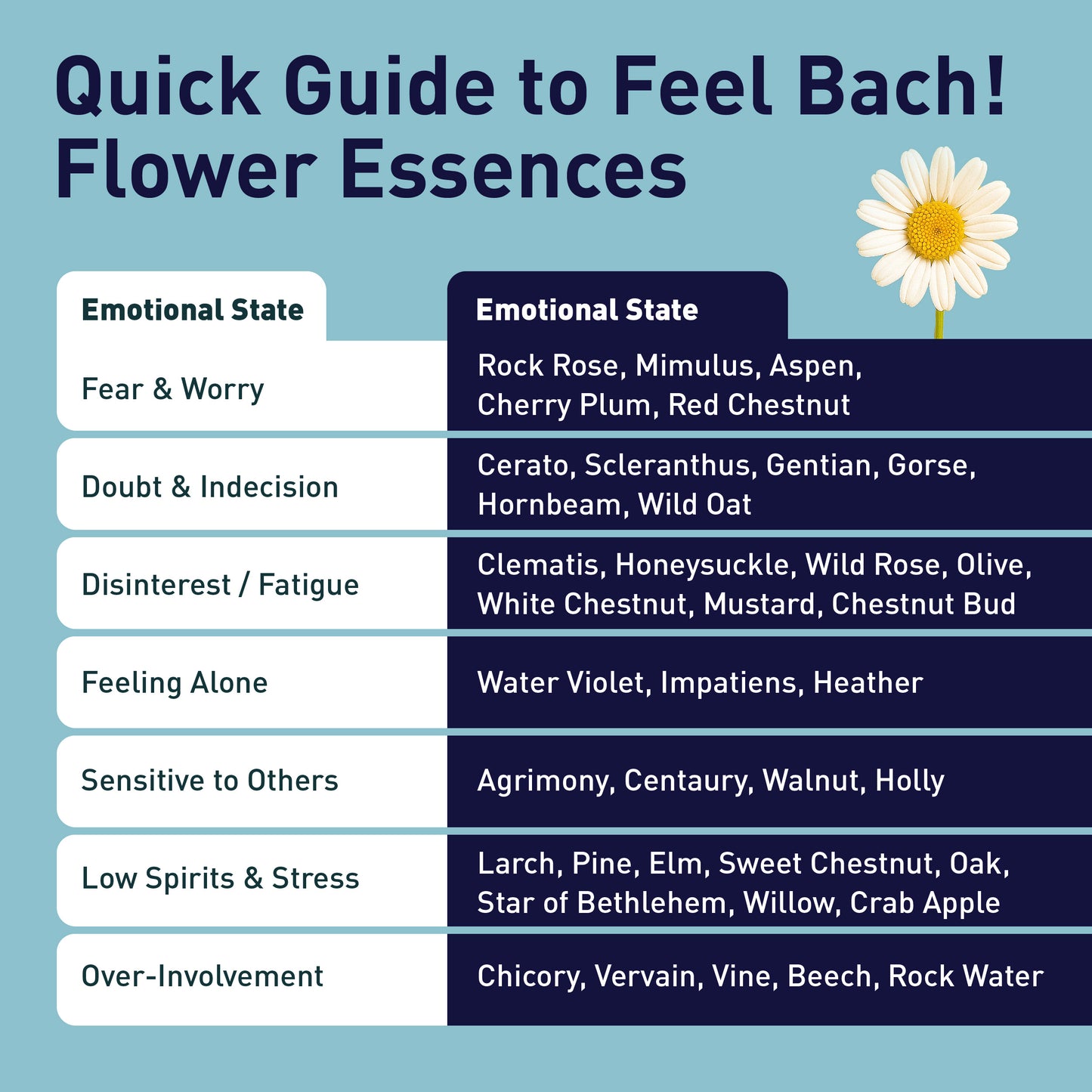 Emotional Harmony & Balance Bundle