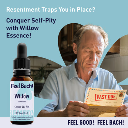 Willow Flower Essence