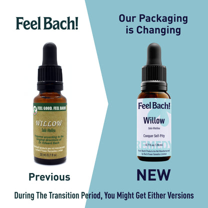 Willow Flower Essence