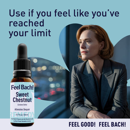 Sweet Chestnut Flower Essence