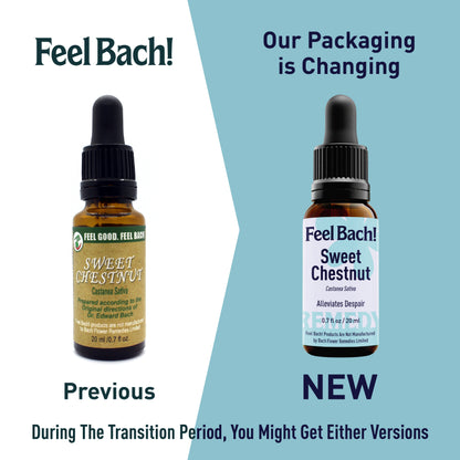 Sweet Chestnut Flower Essence