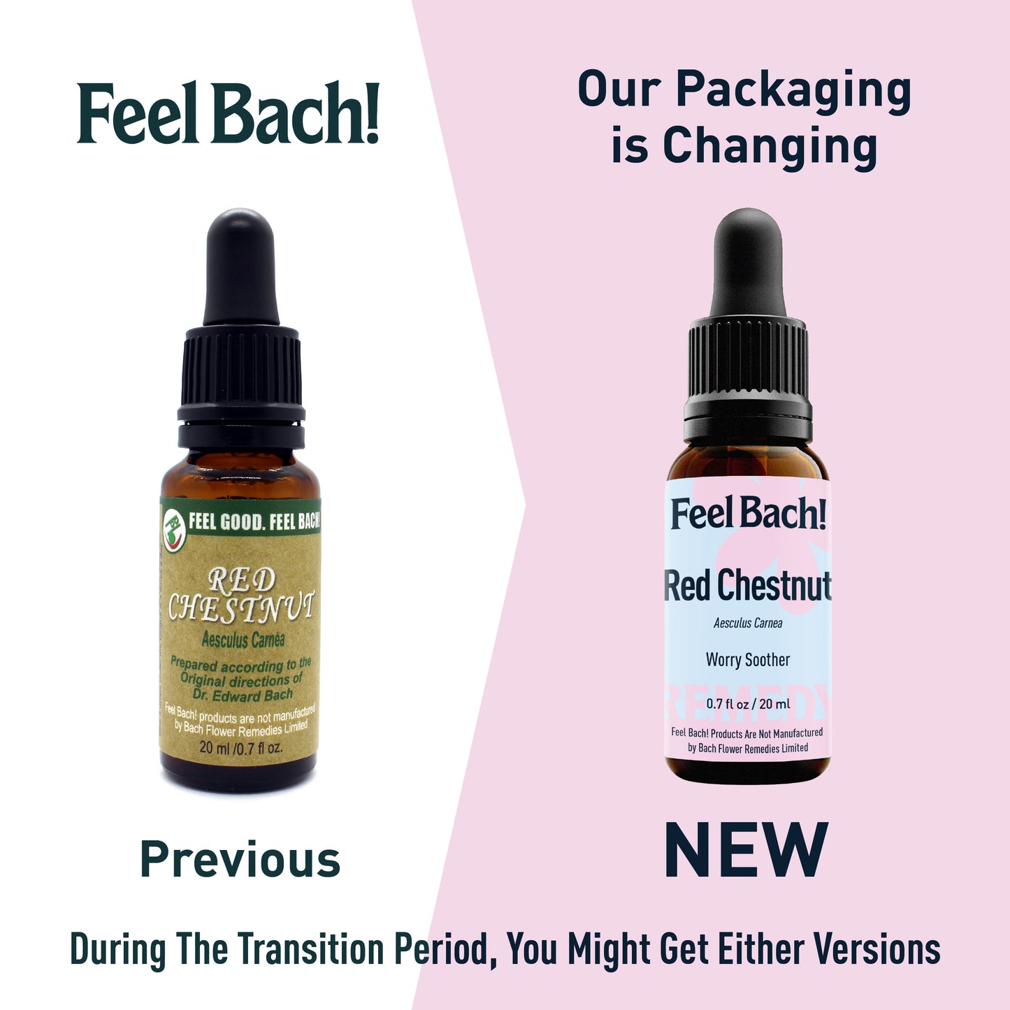 Red Chestnut Flower Essence