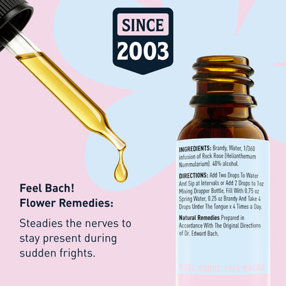 Rock Rose Flower Essence