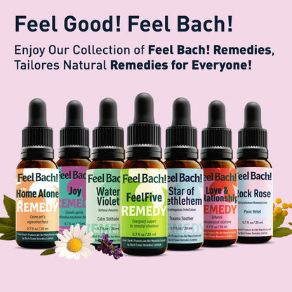 Rock Rose Flower Essence