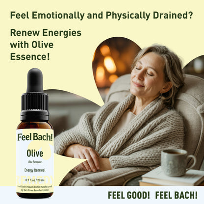 Olive Flower Essence