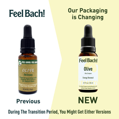 Olive Flower Essence