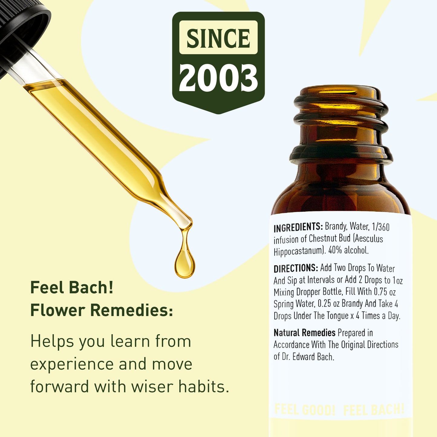 Chestnut Bud Flower Essence