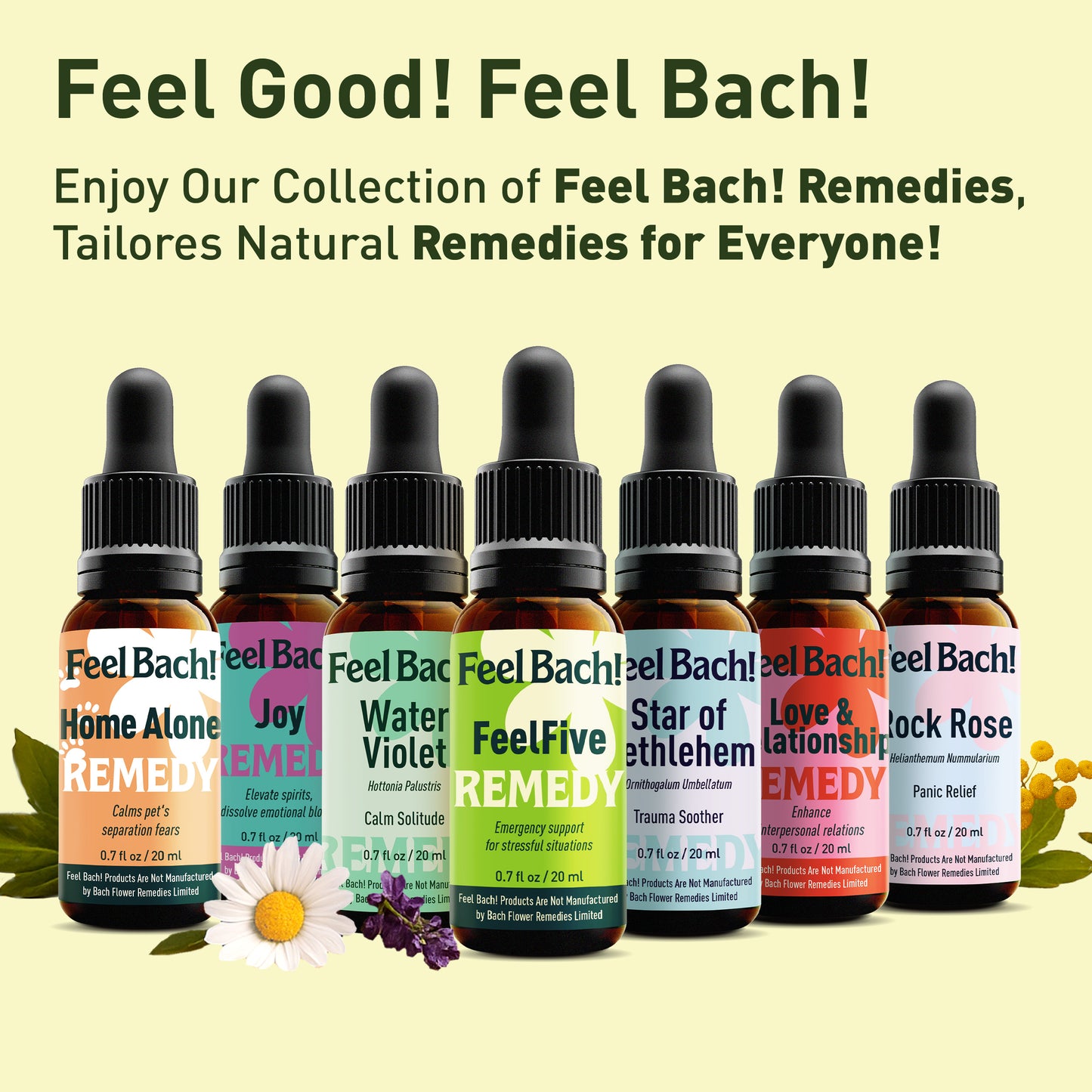 Chestnut Bud Flower Essence