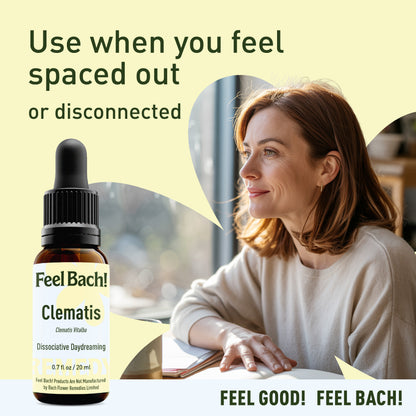 Clematis flower essence