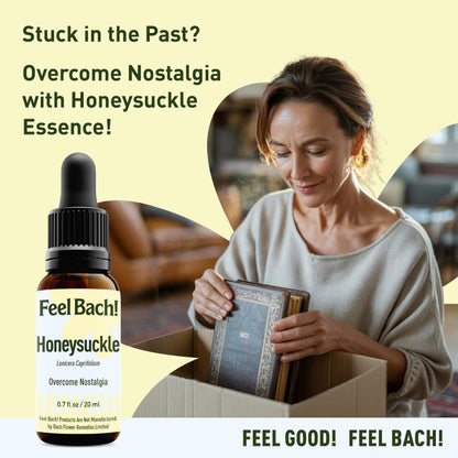 Honeysuckle Flower Essence