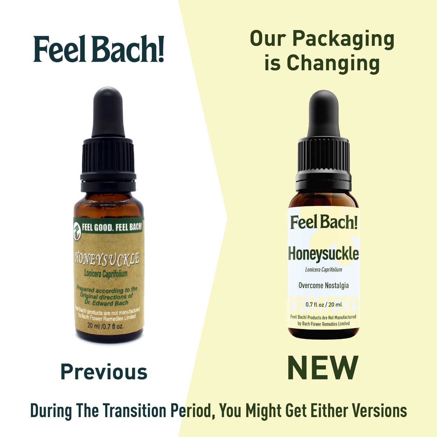 Honeysuckle Flower Essence