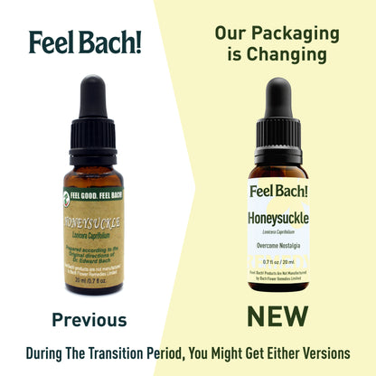 Honeysuckle Flower Essence